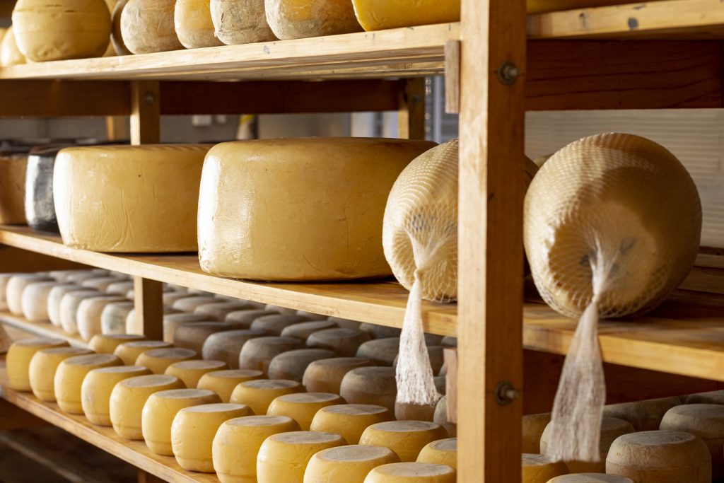 delicious-organic-cheese-wheels