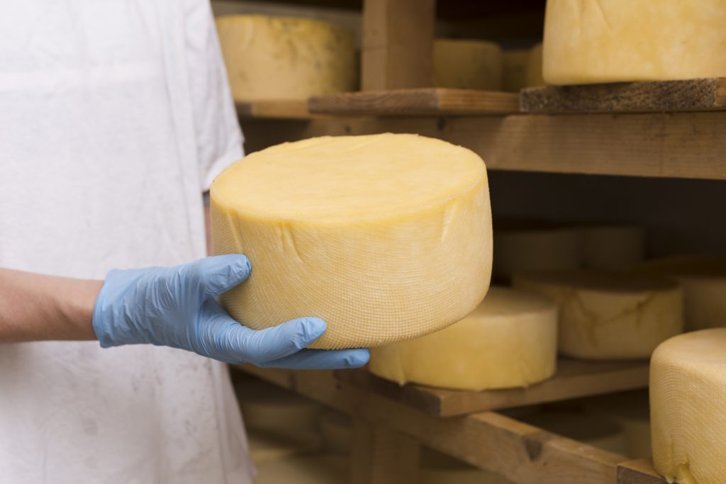 man-holding-cheese-roll-close-up