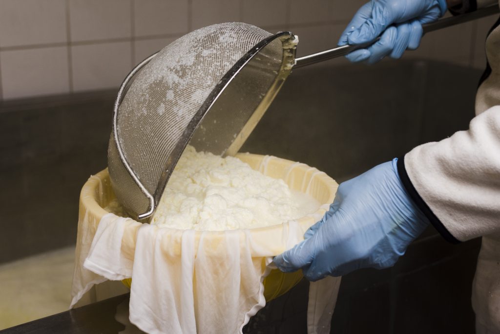 man-preparing-new-type-cheese